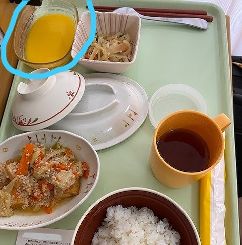 入院食、マンゴープリン