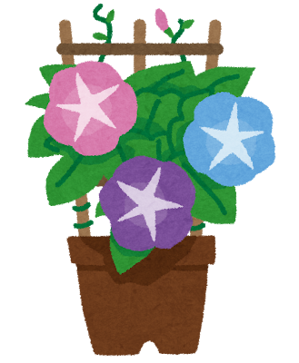 鉢植えの朝顔のイラスト