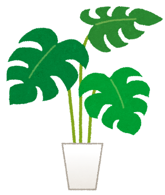 観葉植物のイラスト